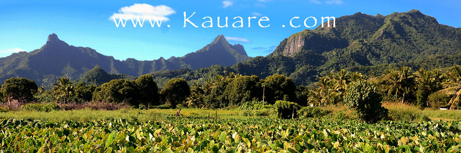 View of taro plantation and mountains of Rarotonga, Cook Islands