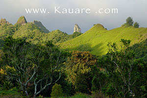 view of the needle on the cross rarotonga hike